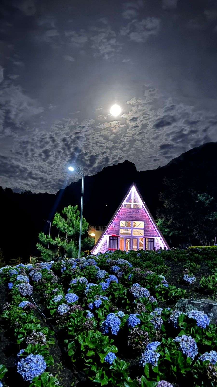 WhatsApp Image 2025-12-17 at 6.01.13 PM