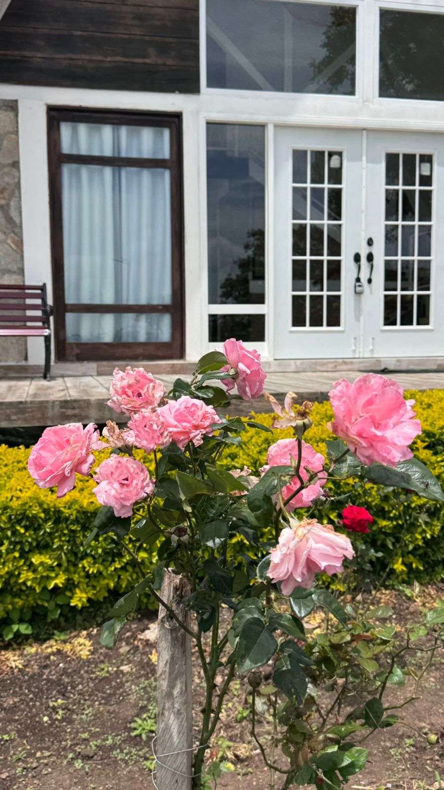 WhatsApp Image 2025-12-17 at 6.01.15 PM