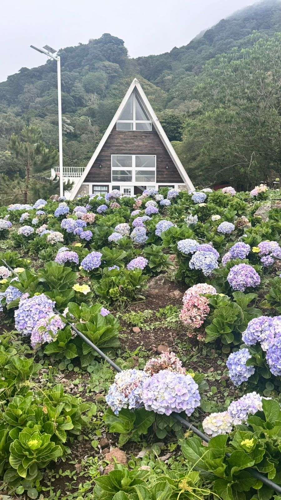 WhatsApp Image 2025-12-17 at 6.01.17 PM