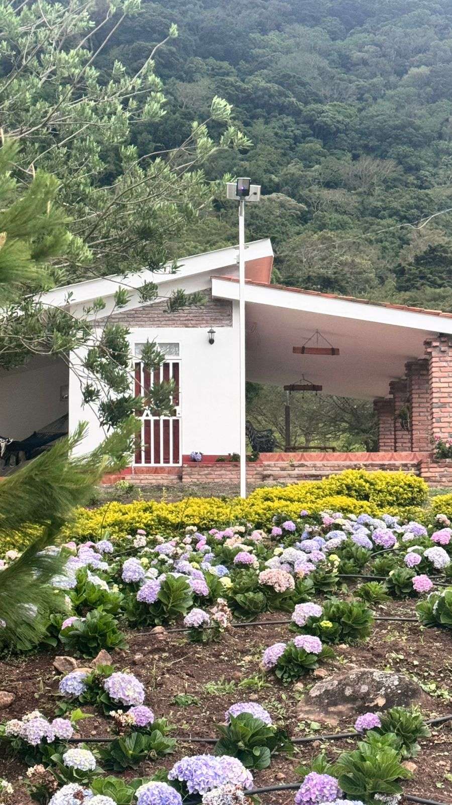 WhatsApp Image 2025-12-17 at 6.01.20 PM