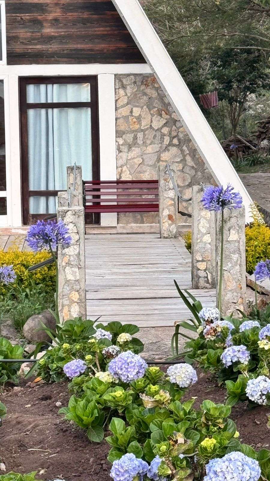 WhatsApp Image 2025-12-17 at 6.01.34 PM