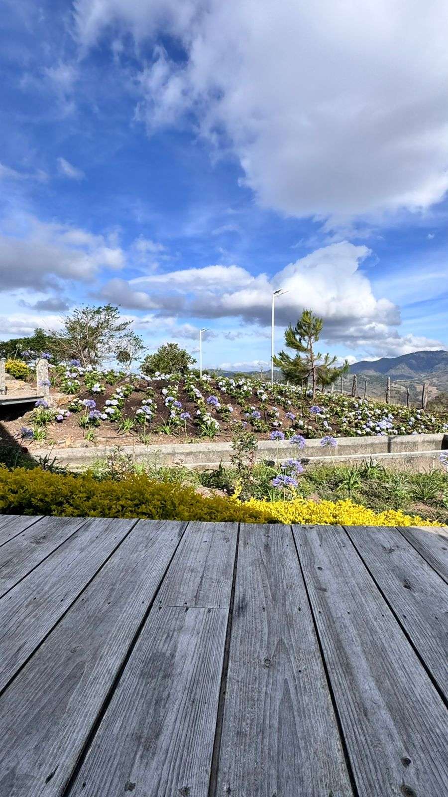 WhatsApp Image 2025-12-17 at 6.01.36 PM